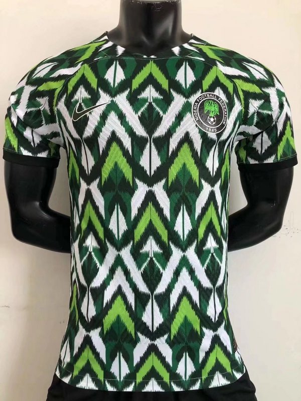 AAA Quality Nigeria 22/23 Green/White Training Jersey(Player)
